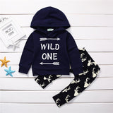 Baby Boy Long Sleeve Deer  Hooded Top & Pant