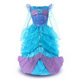 Girls Princess Dress Cosplay Costumes